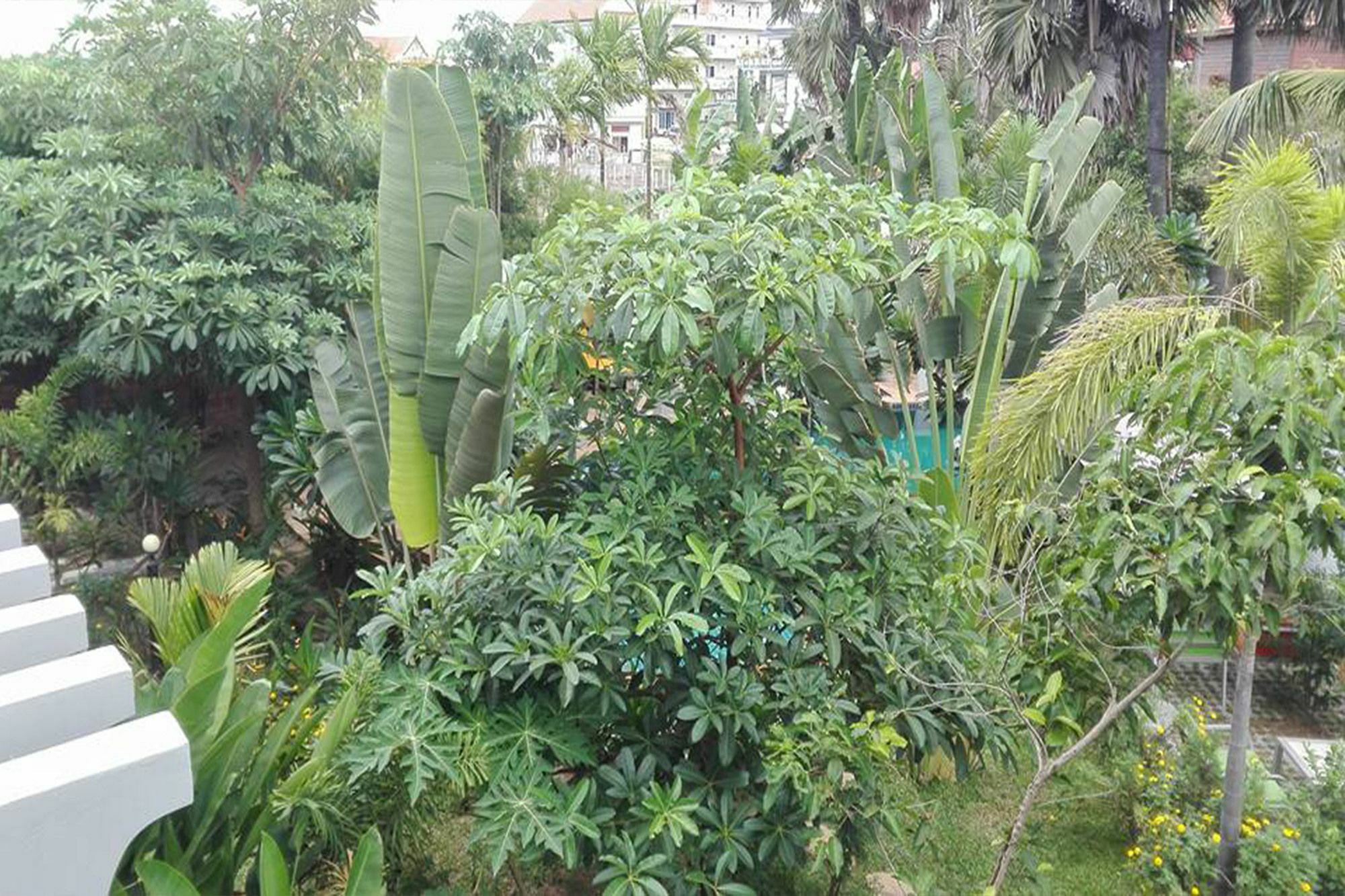 Hak Boutique Hotel Sziemreap Kültér fotó